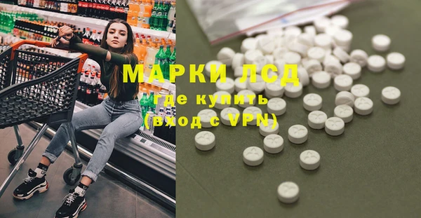 эйфоретик Баксан
